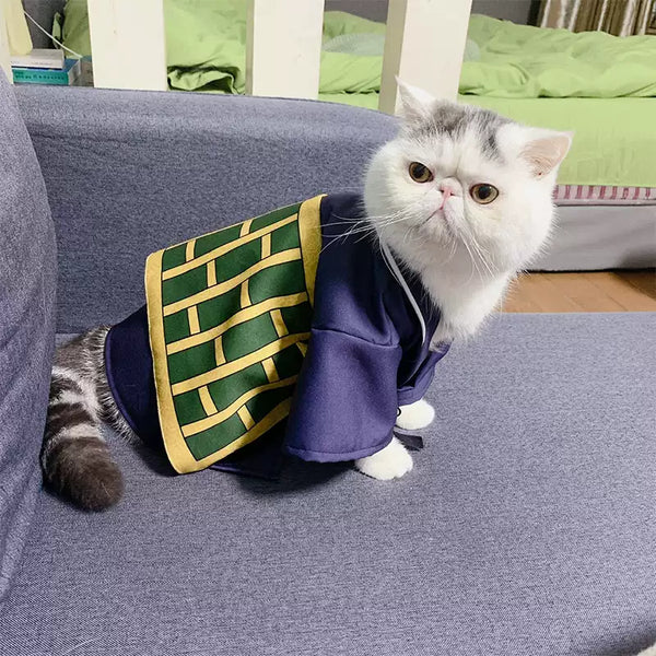 Mystic Wizard Cat Cape  CW0012