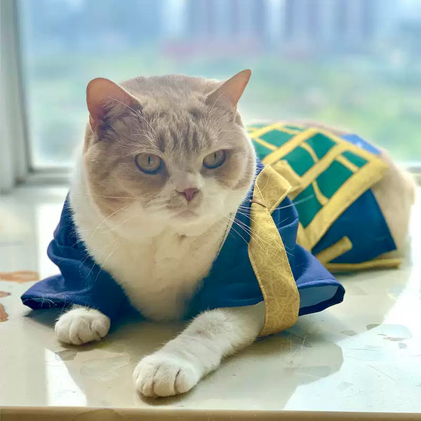 Mystic Wizard Cat Cape  CW0012