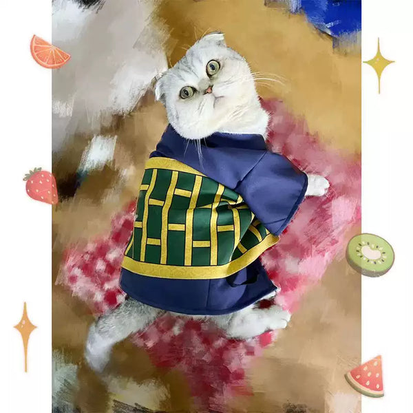 Mystic Wizard Cat Cape  CW0012