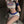 Load image into Gallery viewer, Bunny girl cosplay   suit  AN0538
