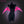 Load image into Gallery viewer, KORURACLUB   Cosplay Devil wings — Hot pink     AW031
