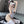 Load image into Gallery viewer, Cow Maid Outfit  AN0550
