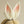 Load image into Gallery viewer, Lolita Rabbit ear headband yc24627
