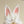 Load image into Gallery viewer, Lolita Rabbit ear headband yc24627
